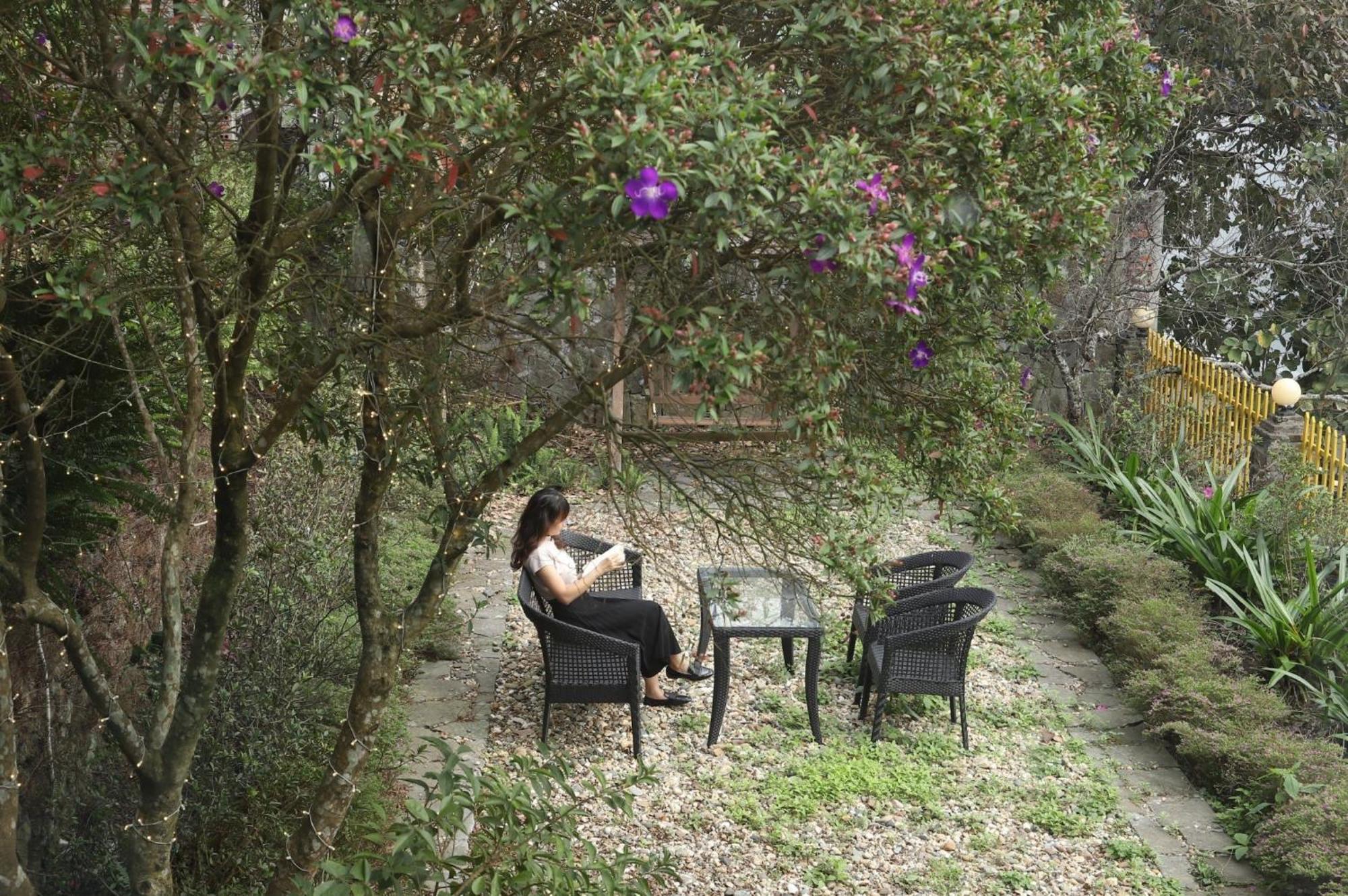האנוי May Villa Tam Dao מראה חיצוני תמונה